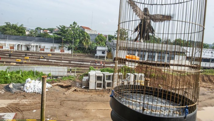 Sejumlah pekerja menyelesaikan pembangunan Stasiun Rangkasbitung Ultimate di Rangkasbitung, Lebak, Banten, Minggu (28/1/2024). Dirjen Perkeretaapian Kemenhub mencatat progres pembangunan gedung untuk peningkatan Stasiun Rangkasbitung hingga Januari 2024 mencapai 10 persen dengan tetap mempertahankan bangunan lama stasiun dan ditargetkan dapat beroperasi pada Agustus mendatang. ANTARA FOTO/Muhammad Bagus Khoirunas/aww.