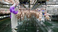 Pabrik ini menggunakan teknologi canggih yang didominasi mesin.