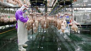 Intip Canggihnya Pabrik Pengolahan Daging Bebek di China