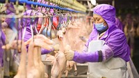Hal ini tentu saja semakin memudahkan pengerjaan para pekerja dengan waktu singkat.
