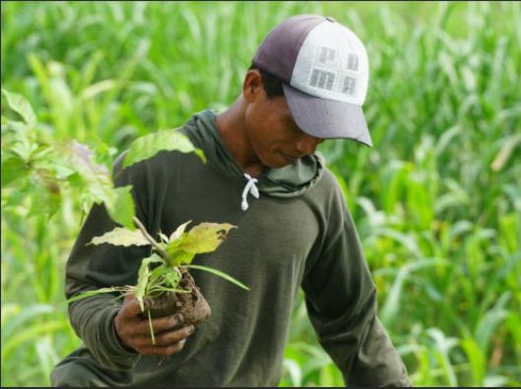 Aksi Tanam Pohon Lindungi Bumi dan Sesama