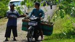 Aksi Tanam Pohon Lindungi Bumi dan Sesama