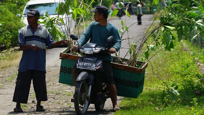 Aksi Tanam Pohon Lindungi Bumi dan Sesama PT Kalbe Farma Tbk (Kalbe) berkolaborasi dengan Pemerintah Kabupaten Wonogiri, Jawa Tengah melakukan penanaman pohon di wilayah Desa Boto, Wonogiri, Jawa Tengah, Sabtu (27/1/2024).