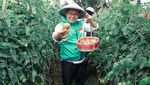 Cak Imin Doyan Kulineran, Makan Sate hingga Nasi Jamblang