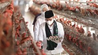Cak Imin juga tampak berkunjung ke peternakan ayam. Di sana, ia terlihat mengambil telur-telur ditemani sang istri. Foto: Instagram @cakiminow