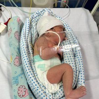 Lahir prematur pada 24 Januari 2024, anak kedua Cesen dan Marshel itu sempat terlilit tali pusar sebanyak 2 kali. Bayinya pun sempat harus dirawat dengan menggunakan oksigen. Foto: Instagram/@marshel_widianto