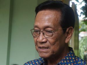 Sultan soal Wacana Bertemu Megawati: Setelah Tanggal 14 Ndak Masalah