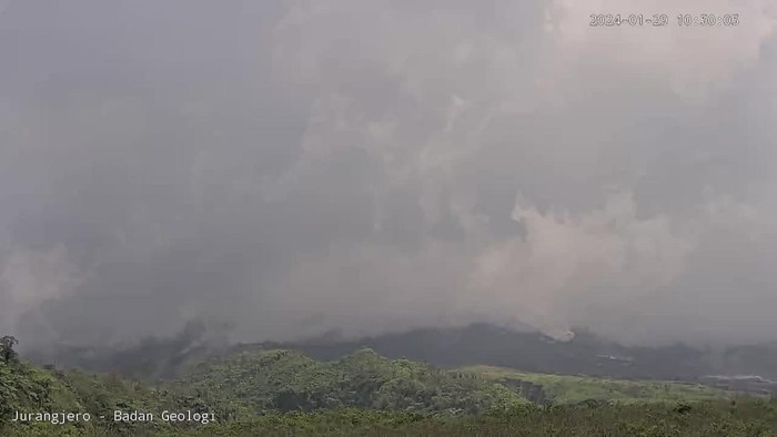 Gunung Merapi muntahkan awan panas, Senin (29/1/2024) siang. Visual Merapi berkabut.