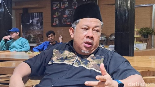Juru Bicara TKN Prabowo-Gibran, Fahri Hamzah. (Foto: Dok. Rafiin/detikBali)