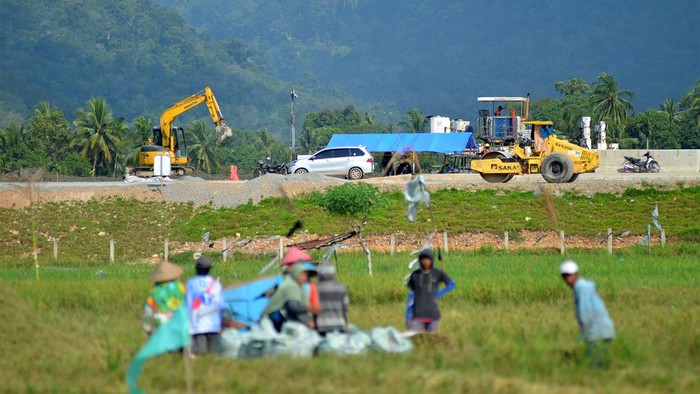 Pekerja memasang balok girder pada tumpuannya untuk jembatan dalam pembangunan jalan tol di Nagari Buayan, Padang Pariaman, Sumatera Barat, Minggu (28/1/2024). Berdasarkan data Kementerian PUPR, progres pembebasan lahan Jalan Tol Pekanbaru – Padang, seksi 1 Padang - Sicincin hampir rampung dan telah mencapai 92,6 persen, sementara progres konstruksinya mencapai 47,22 persen dan ditargetkan dapat selesai dan fungsional pada Juli 2024.  ANTARA FOTO/Iggoy el Fitra/nym.