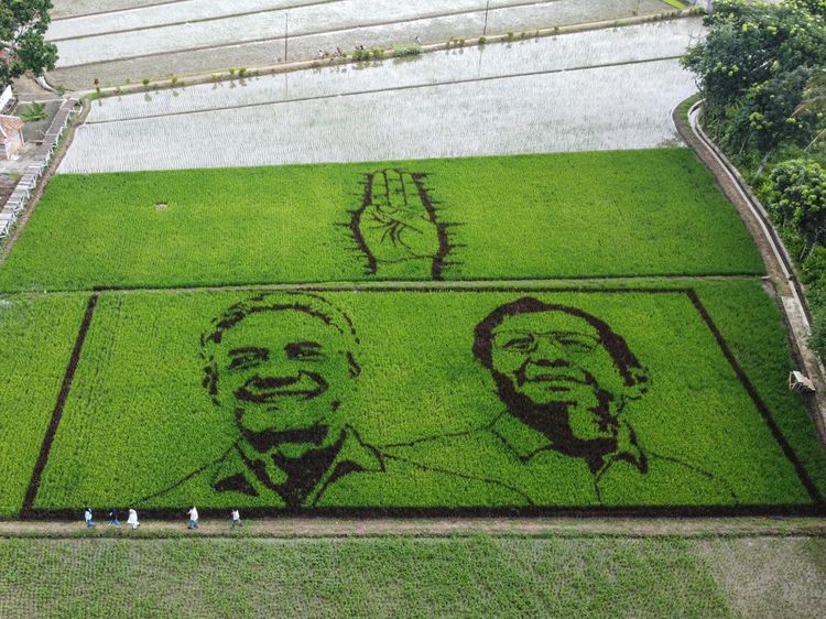 Keren, Ada Lukisan Wajah Ganjar-Mahfud di Sawah!