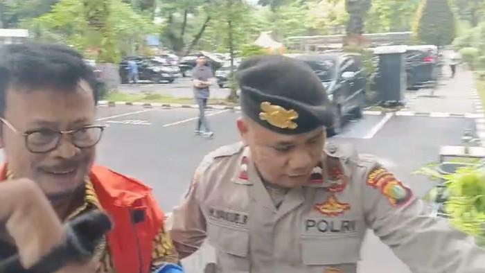 Mentan Syahrul Yasin Limpo (Wildan-detikcom)