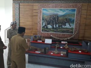 Museum Patiayam Kudus Mau Dikembangkan, tapi Terkendala Lahan