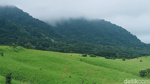 Panorama Padang Savana Kurubaung, Flores Timur, NTT.