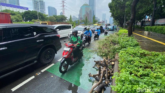 Pohon tumbang di dekat Markas Polda Metro Jaya, Jakan Gatot Subroto, Jakarta Selatan.