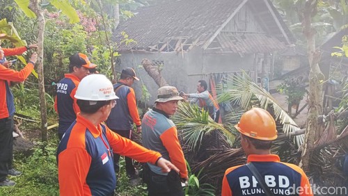 Penanganan pohon tumbang menimpa rumah warga di Desa Gunaksa, Dawan, Klungkung, Senin (29/1/2024).