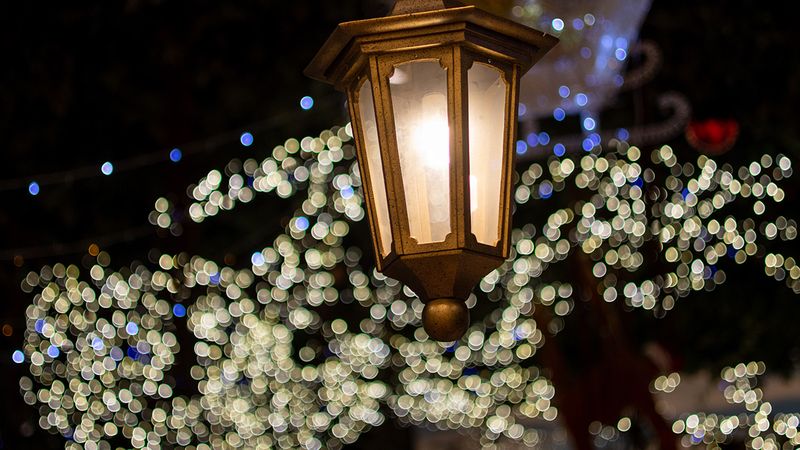 Review lensa Canon RF 50mm f/1.8 STM