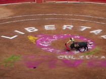 Kolombia Larang Adu Banteng yang Ada Sejak Masa Kolonial, Alasannya Karena Ini