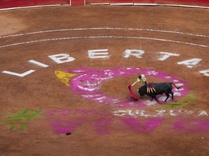 Kolombia Larang Adu Banteng yang Ada Sejak Masa Kolonial, Alasannya Karena Ini