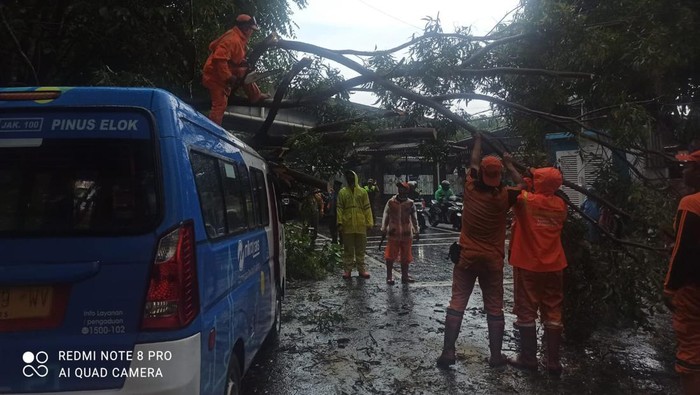 Angkot JakLingko tertimpa pohon tumbang di Cakung, Jakarta Timur.