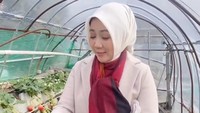 Waktu liburan ke Jepang, Atalia juga tak lupa untuk mencicipi buah segar asli Jepang. Seperti strawberry dengan ukuran besar yang dipanennya sendiri di kebun. Foto: Instagram/ataliapr