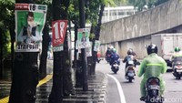Alat peraga kampanye (APK) caleg terpasang di pepohonan di pinggir salah satu ruas jalan di Jakarta, Selasa (30/1/2024).