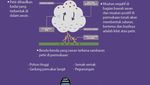 Infografis: Cara Menghindari Petir Saat Musim Hujan dari BMKG