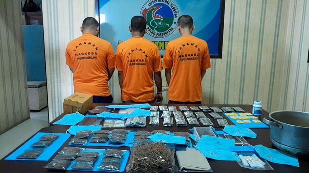(Dua orang pengedar obat keras ilegal diringkus Satres Narkoba Polres Pandeglang. Dok Aris Rivaldo/detikcom).