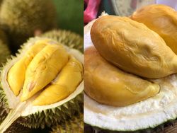 Musang King hingga Black Thorn, Ini Keistimewaan 5 Durian Termahal