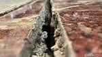 Gedung Kementerian ESDM Retak! Menterinya Minggat Sementara