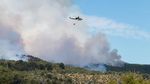 Kebakaran Hutan di Taman Nasional Argentina Jadi Tontonan Turis