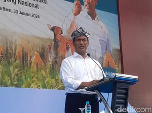 Mentan Target Panen Raya Bulan Depan Hasilkan 3,5 Juta Ton Beras
