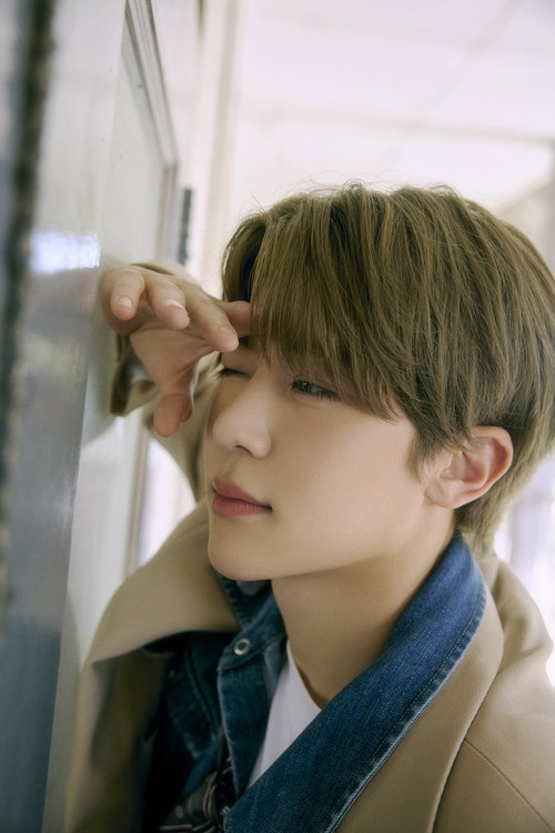 Sion NCT WISH