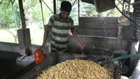 Pekerja membuat tahu berbahan kedelai impor di pabrik tahu Wanoja Makmur, Kandangan, Ngawi, Jawa Timur, Senin (29/1/2024).
