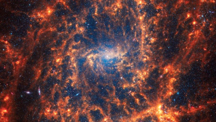 Potret Menakjubkan 19 Galaksi Spiral Karya Teleskop James Webb Spiral galaxy NGC 1512, located 30 million light-years away from Earth, is seen in an undated image from the James Webb Space Telescope. NASA, ESA, CSA, STScI, Janice Lee (STScI), Thomas Williams (Oxford), and the PHANGS team/Handout via REUTERS THIS IMAGE HAS BEEN SUPPLIED BY A THIRD PARTY TPX IMAGES OF THE DAY