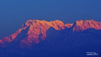 Puncak berselimut salju yang bersinar keemasan.
