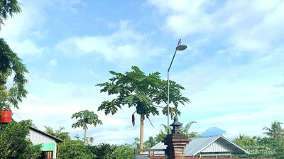 Rupa Destinasi Wisata Terasering Ngargogondo Borobudur Sekarang