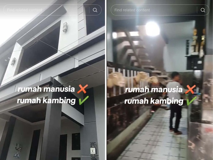 Video viral rumah dua lantai minimalis jadi kandang domba sultan di Kabupaten Banjarnegara, Jawa Tengah
