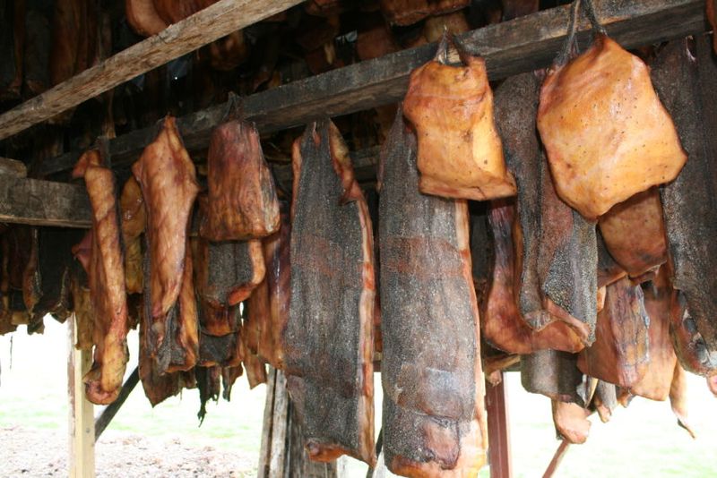 Walaupun Beracun dan Mematikan, 5 Makanan Ini Justru Digemari Banyak Orang