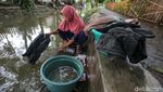 Warga Rawa Burung Tangerang Manfaatkan Aliran Sungai untuk Mencuci