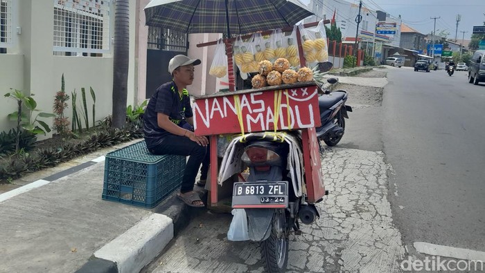 Alo Lesmana saat berjualan nanas madu di Garut, Rabu (31/1/2024).
