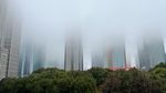 Kabut Pekat Selimuti Shanghai Jelang Imlek