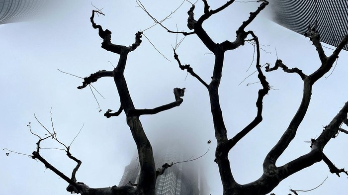 ASIA-WEATHER/CHINA-FOG Buildings in Lujiazui financial district are seen shrouded in fog amid an orange alert for heavy fog in Shanghai, China January 31, 2024. REUTERS/Xihao Jiang TPX IMAGES OF THE DAY