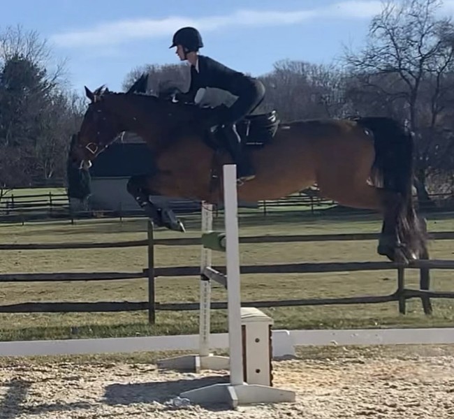 Bella Hadid kerap mengunggah momen saat ia berkuda. Menunggangi kuda bukanlah hal asing baginya. Foto: Dok. Instagram