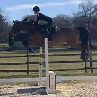 Bella Hadid kerap mengunggah momen saat ia berkuda. Menunggangi kuda bukanlah hal asing baginya. Foto: Dok. Instagram