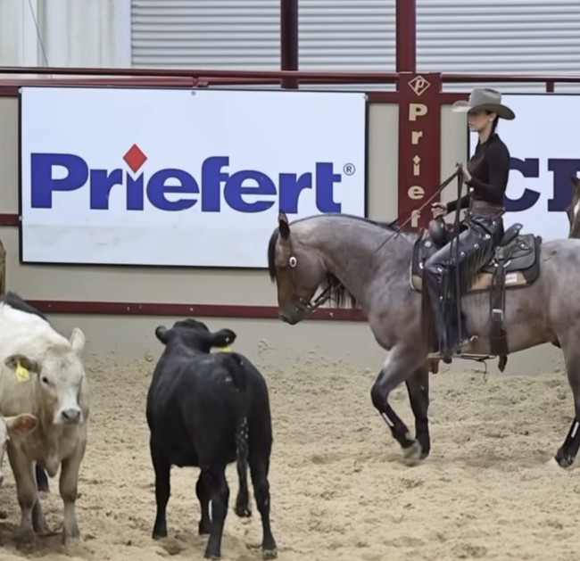 Cutting horse bukan pertandingan kuda biasa. Pertandingan tersebut melibatkan banyak kuda yang disatukan di satu arena, di mana Bella harus mengontrol kuda-kuda tersebut. Foto: Dok. Instagram/@bellahadid