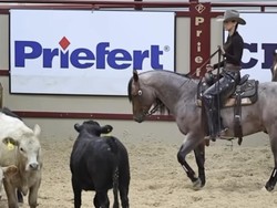 Penampilan Bella Hadid Ikut Pertandigan Berkuda, Dapat Juara