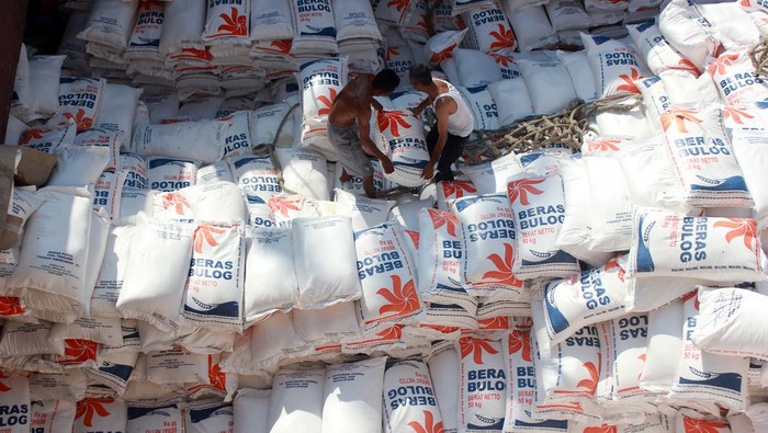 Sejumlah pekerja melakukan bongkar muat beras asal Thailand di Pelabuhan Ujung Baru, Medan Belawan, Medan, Sumatera Utara, Selasa (30/1/2024). Perum Bulog Sumatera Utara menerima sebanyak 12.500 ton beras yang akan dibagikan kepada keluarga penerima manfaat (KPM) selama tahun 2024.ANTARA FOTO/Yudi/nz