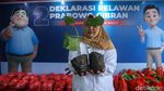 Deklarasi 02, Relawan Gesira Bawa Tanaman Koro
