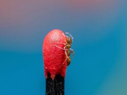 Foto Spektakuler Kontes Foto Internasional 2023 Bikin Terkesima